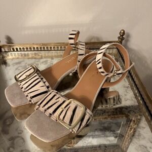 Diba True Shoes Womens Size 7 Zebra Animal Print Block Heel Sandals Buckle Strap